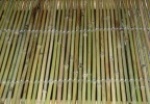 Bamboo Fence with thread weaven